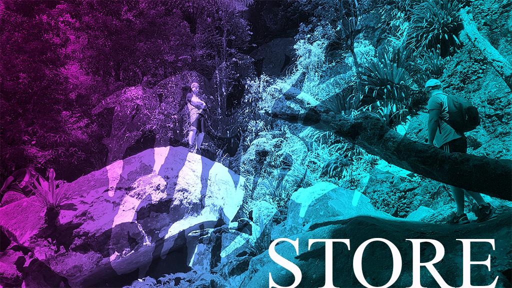 Welcome to our store